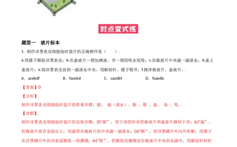必考点07植物细胞-（人教版）（解析版）_初中全科电子版试卷练习试题_生物_生物人教版7上练习&mdash;24新版已更新_人教生物7年级上专项练习28份