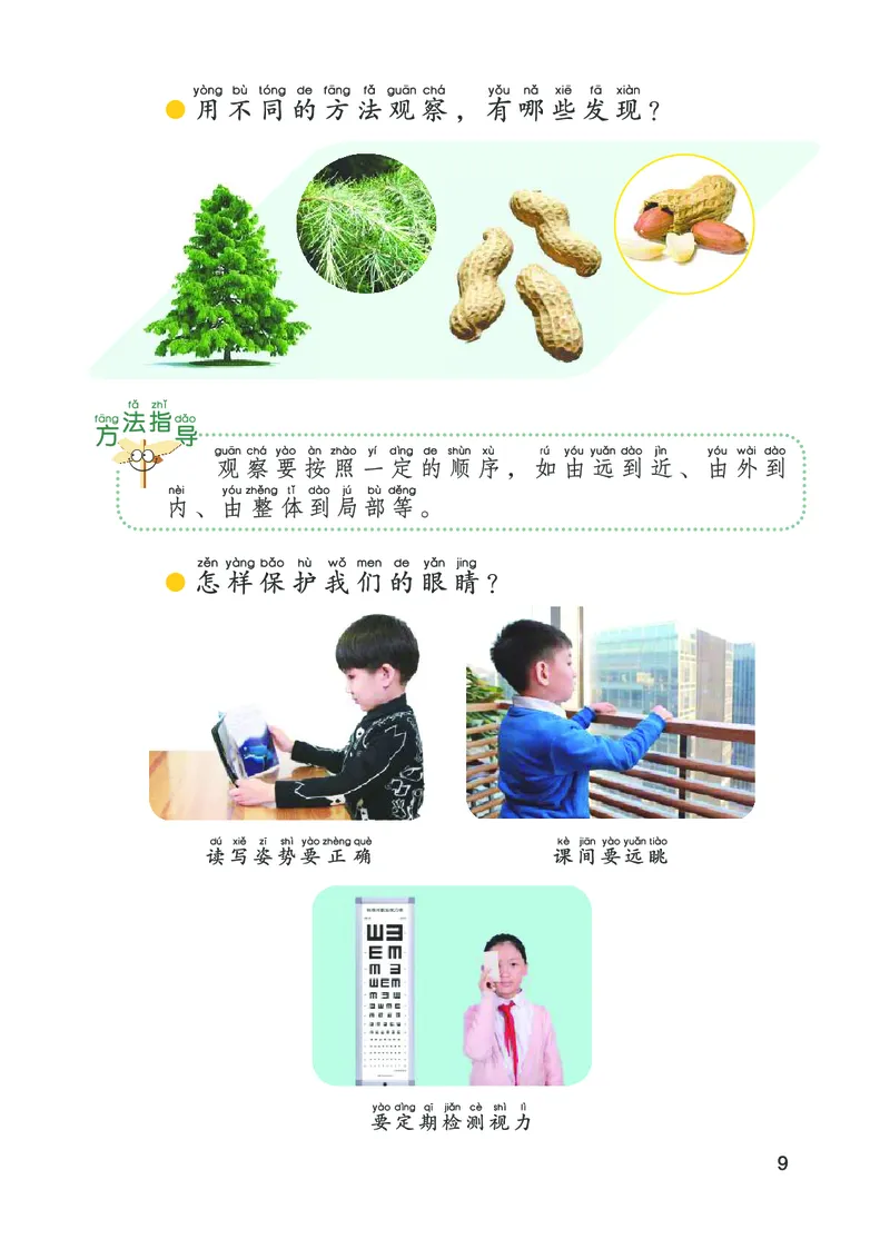01六制一上科学_电子课本_小学电子课本_05科学_青岛版（63、54版）_小学科学青岛六三制1-6上册