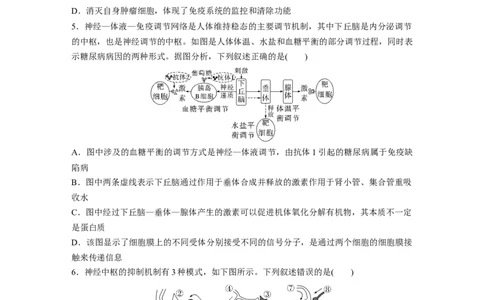 二轮专题强化练　训练6　个体生命活动的调节_通用版（老高考）复习资料_2023年复习资料_二轮复习_2023年高考生物二轮复习讲义+课件（全国版）_2023年高考生物二轮复习讲义（全国版）