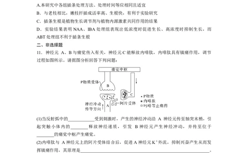 二轮专题强化练　训练6　个体生命活动的调节_通用版（老高考）复习资料_2023年复习资料_二轮复习_2023年高考生物二轮复习讲义+课件（全国版）_2023年高考生物二轮复习讲义（全国版）
