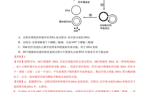 信息必刷卷02（江苏专用）（解析版）_2025年新高考资料_2025考前信息卷_2025年高考生物考前信息必刷卷（江苏专用）34423855