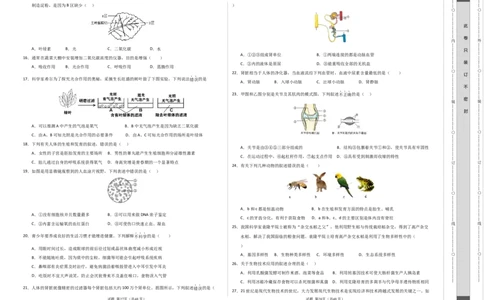 生物（新疆卷）（考试版A3）_初中全科电子版试卷练习试题_生物_2024中考模拟题生物(1)_一模_生物（新疆卷）-2024年中考第一次模拟考试