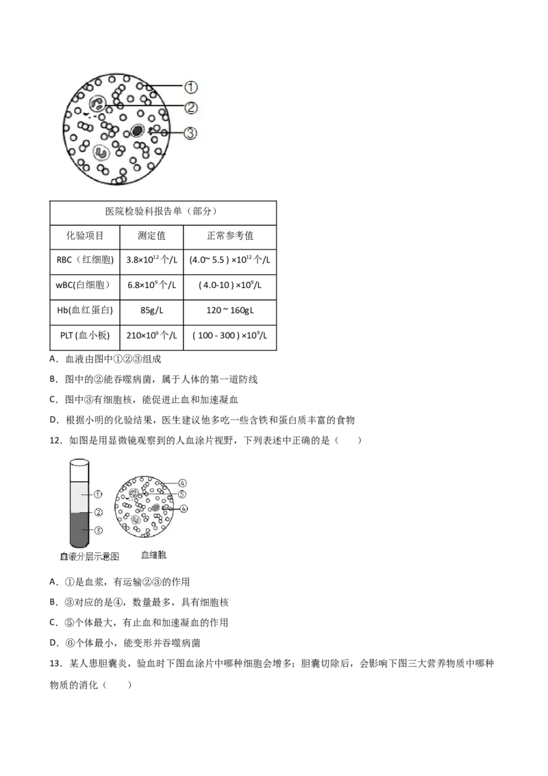 探究题04观察人血永久涂片-七年级生物下册教材实验探究必刷题（人教版）（原卷版）_初中全科电子版试卷练习试题_生物_生物人教版7下练习_人教生物7年级下专项练习16份