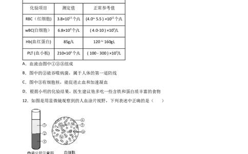 探究题04观察人血永久涂片-七年级生物下册教材实验探究必刷题（人教版）（原卷版）_初中全科电子版试卷练习试题_生物_生物人教版7下练习_人教生物7年级下专项练习16份