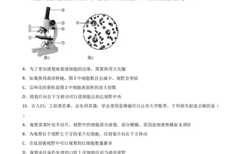 探究题04观察人血永久涂片-七年级生物下册教材实验探究必刷题（人教版）（原卷版）_初中全科电子版试卷练习试题_生物_生物人教版7下练习_人教生物7年级下专项练习16份