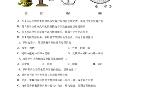 第一单元生物的生殖和发育（选拔卷）-单元测试（人教版）（原卷版）_初中全科电子版试卷练习试题_生物_生物8下练习_人教生物8年级下单元试卷38份