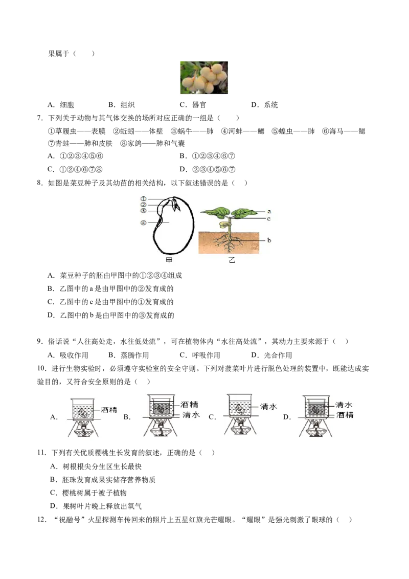 生物（新疆卷）（考试版A4）_初中全科电子版试卷练习试题_生物_2024中考模拟题生物(1)_二模_生物（新疆卷）-：2024年中考第二次模拟考试