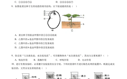 生物（新疆卷）（考试版A4）_初中全科电子版试卷练习试题_生物_2024中考模拟题生物(1)_二模_生物（新疆卷）-：2024年中考第二次模拟考试