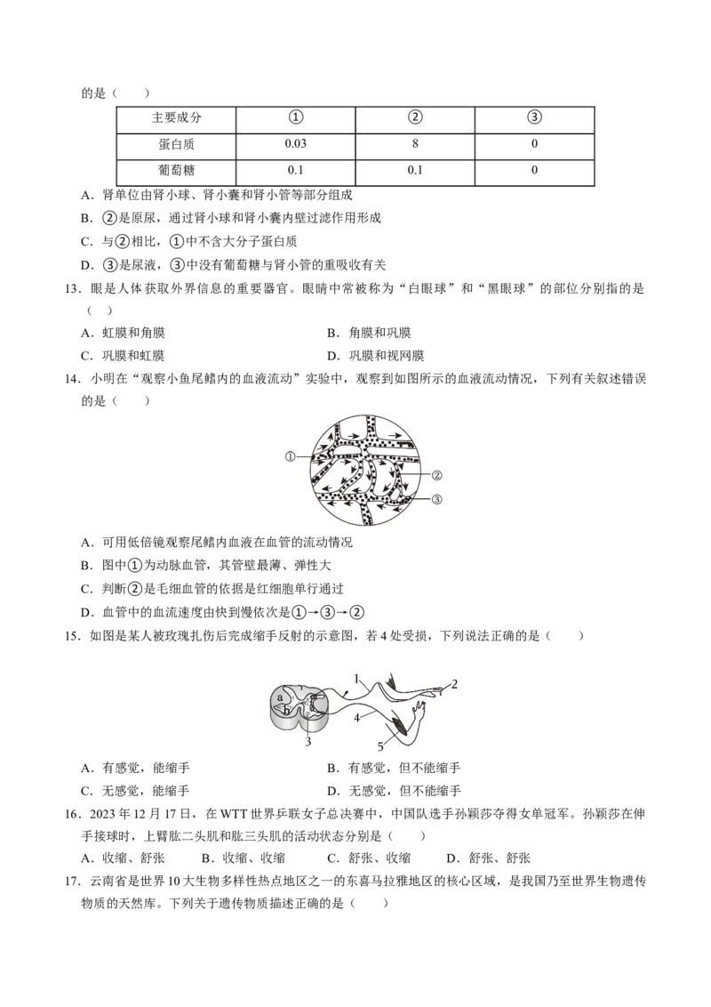 生物（遵义卷）（考试版A4）_初中全科电子版试卷练习试题_生物_2024中考模拟题生物(1)_一模_生物（遵义卷）-2024年中考第一次模拟考试