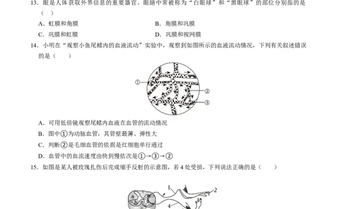 生物（遵义卷）（考试版A4）_初中全科电子版试卷练习试题_生物_2024中考模拟题生物(1)_一模_生物（遵义卷）-2024年中考第一次模拟考试
