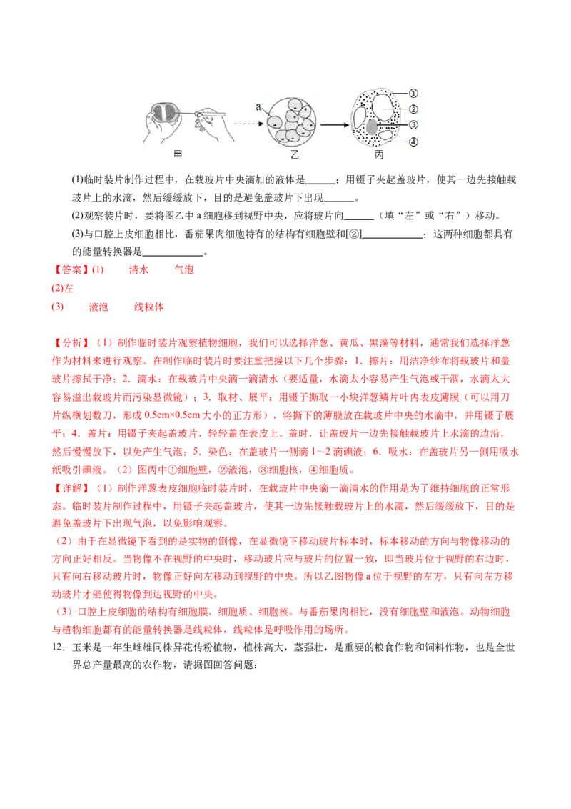 生物（徐州卷）（全解全析）_初中全科电子版试卷练习试题_生物_2024中考模拟题生物(1)_二模_生物（徐州卷）-：2024年中考第二次模拟考试