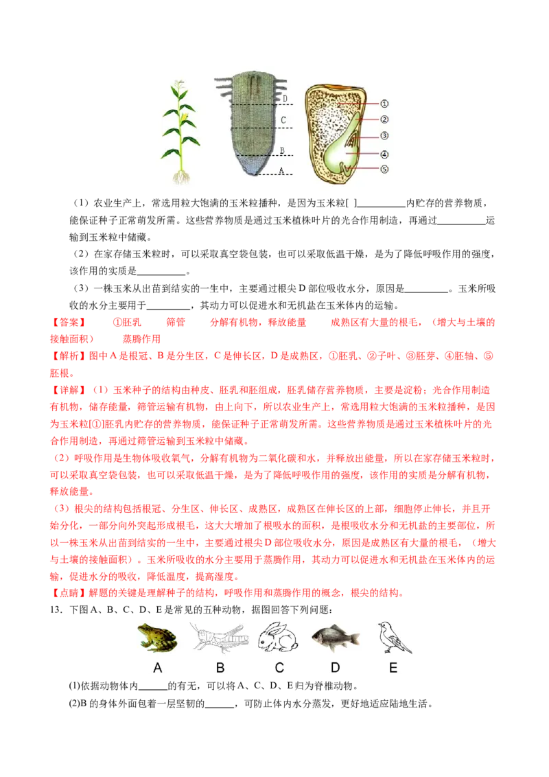 生物（徐州卷）（全解全析）_初中全科电子版试卷练习试题_生物_2024中考模拟题生物(1)_二模_生物（徐州卷）-：2024年中考第二次模拟考试