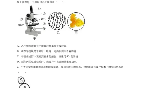第2单元（第1章）细胞是生命活动的基本单位（提分小卷）（人教版）（原卷版）_初中全科电子版试卷练习试题_生物_生物人教版7上练习&mdash;24新版已更新