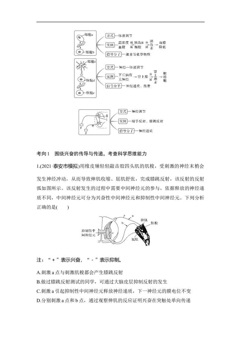 专题六个体生命活动的调节（原卷版）_新高考复习资料_2023年新高考复习资料_二轮复习_过二轮备战2023年高考生物二轮专题剖析与综合训练（新教材）