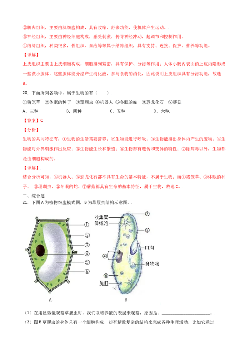 期中测试卷01-（人教版）（解析版）_初中全科电子版试卷练习试题_生物_生物人教版7上练习&mdash;24新版已更新_人教生物7年级上期中试卷07份