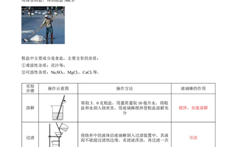 第11讲粗盐中难溶性杂质的去除（解析版）_初中全科电子版试卷练习试题_化学_9年级上下册化学试题_9年级下试题_人教化学九年级下专项练习（013份）
