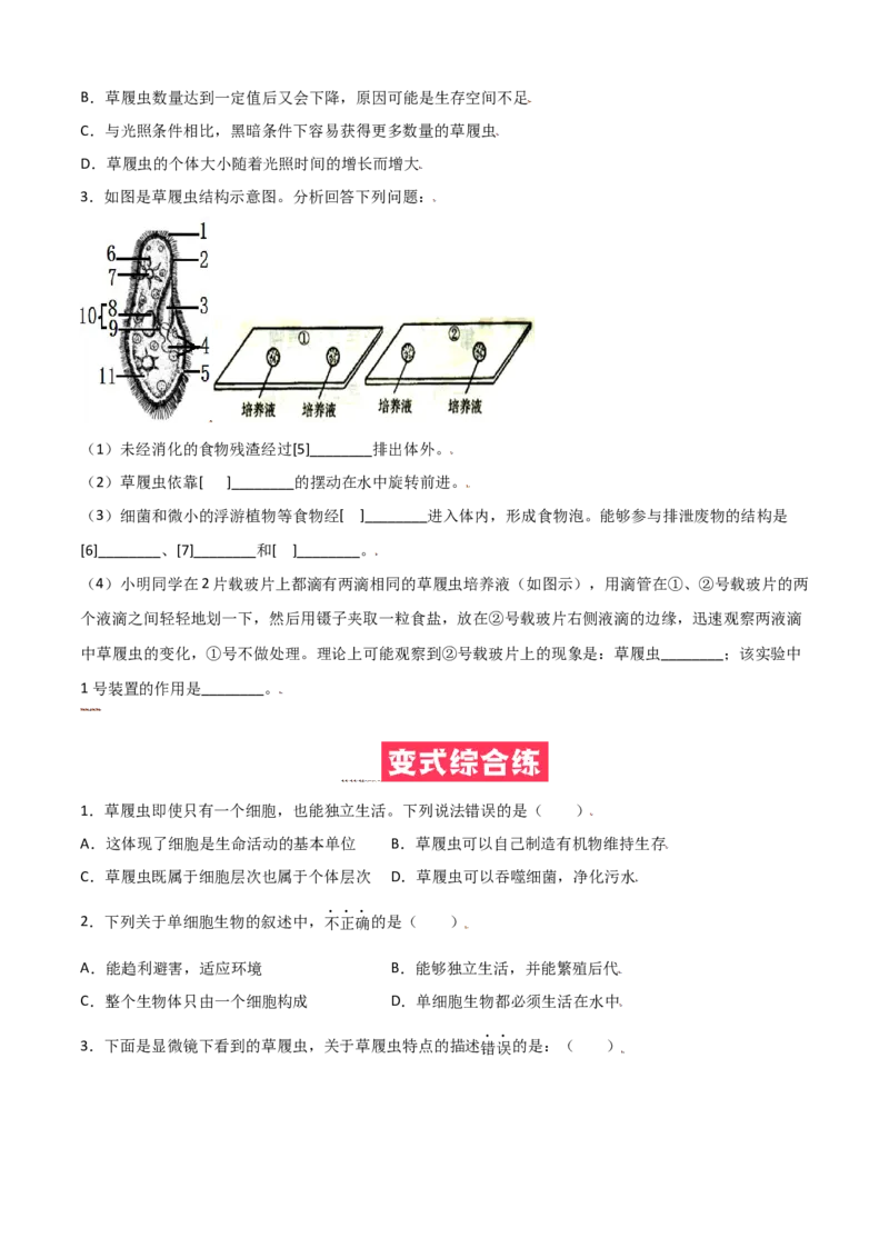 必考点13单细胞生物-（人教版）（原卷版）_初中全科电子版试卷练习试题_生物_生物人教版7上练习&mdash;24新版已更新_人教生物7年级上专项练习28份