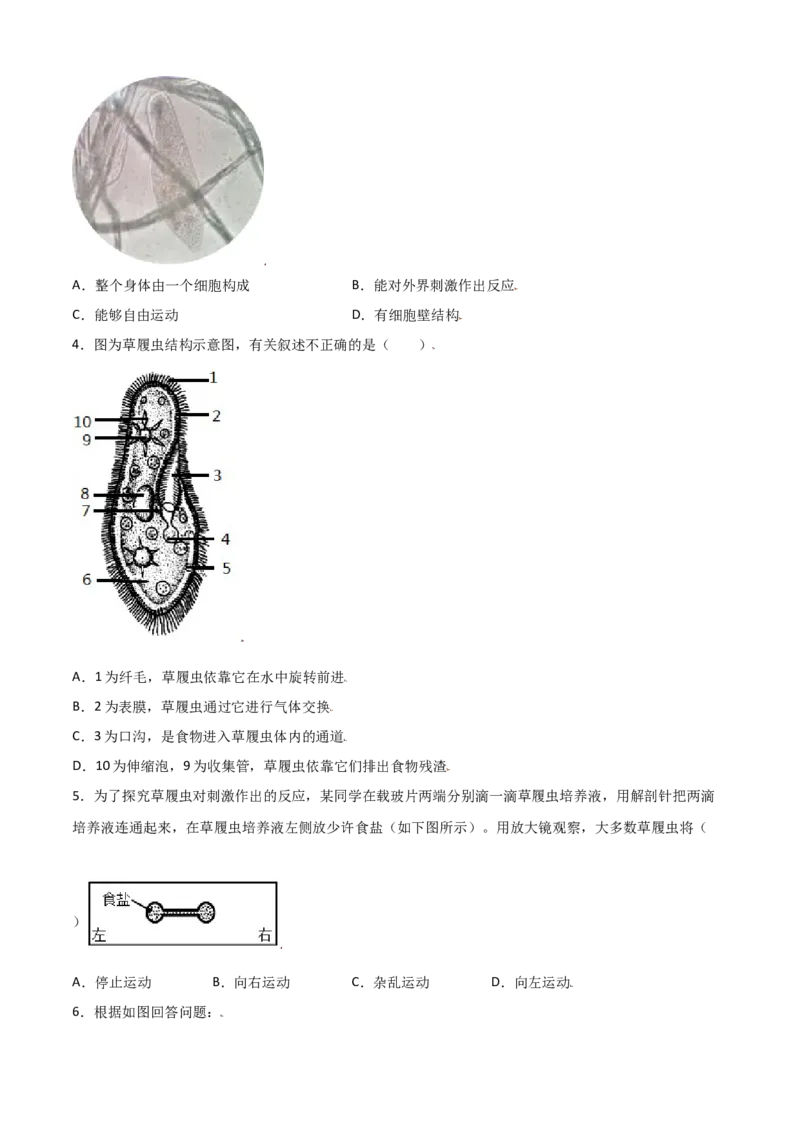 必考点13单细胞生物-（人教版）（原卷版）_初中全科电子版试卷练习试题_生物_生物人教版7上练习&mdash;24新版已更新_人教生物7年级上专项练习28份