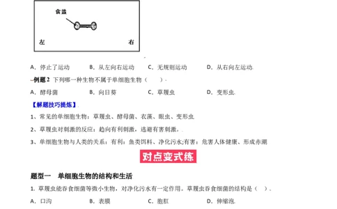 必考点13单细胞生物-（人教版）（原卷版）_初中全科电子版试卷练习试题_生物_生物人教版7上练习&mdash;24新版已更新_人教生物7年级上专项练习28份