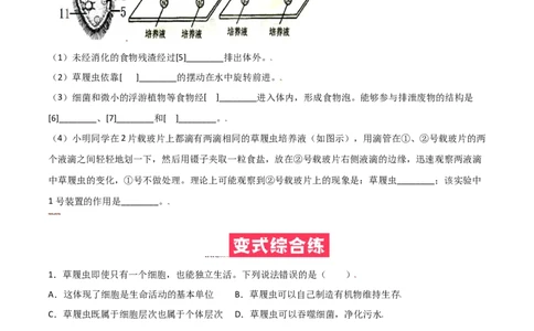 必考点13单细胞生物-（人教版）（原卷版）_初中全科电子版试卷练习试题_生物_生物人教版7上练习&mdash;24新版已更新_人教生物7年级上专项练习28份