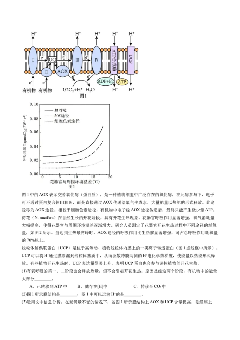 信息必刷卷02（北京专用）（原卷版）(1)_2025年新高考资料_2025考前信息卷_2025年高考生物考前信息必刷卷（北京专用）34427555