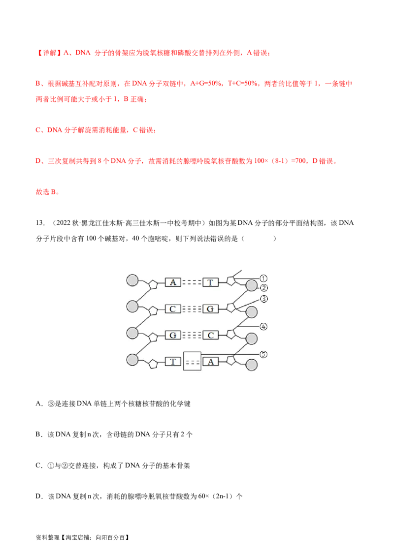 专题综合练05遗传的分子基础(解析版)_新高考复习资料_2024年新高考复习资料_一轮复习资料_完备战2024年高考生物一轮复习考点帮（新高考）_必修2