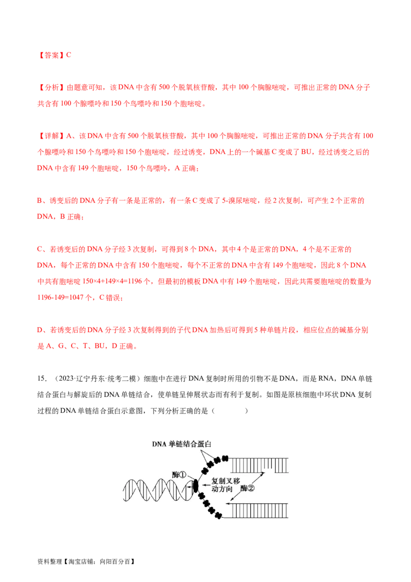 专题综合练05遗传的分子基础(解析版)_新高考复习资料_2024年新高考复习资料_一轮复习资料_完备战2024年高考生物一轮复习考点帮（新高考）_必修2