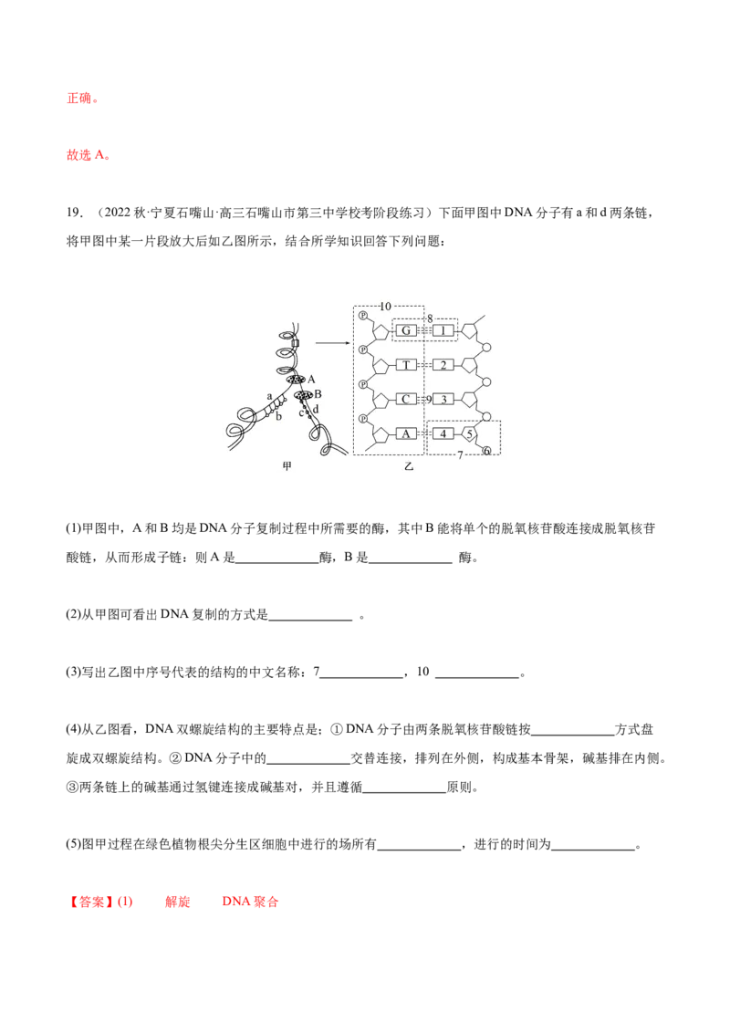 专题综合练05遗传的分子基础(解析版)_新高考复习资料_2024年新高考复习资料_一轮复习资料_完备战2024年高考生物一轮复习考点帮（新高考）_必修2
