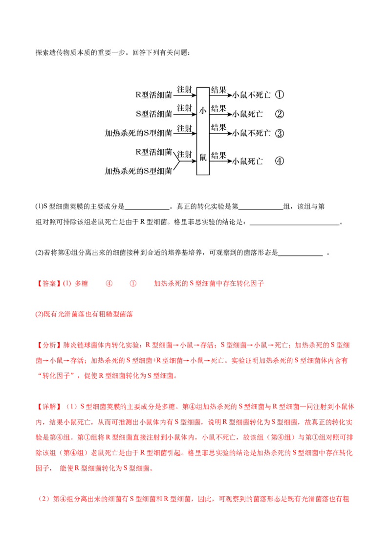 专题综合练05遗传的分子基础(解析版)_新高考复习资料_2024年新高考复习资料_一轮复习资料_完备战2024年高考生物一轮复习考点帮（新高考）_必修2