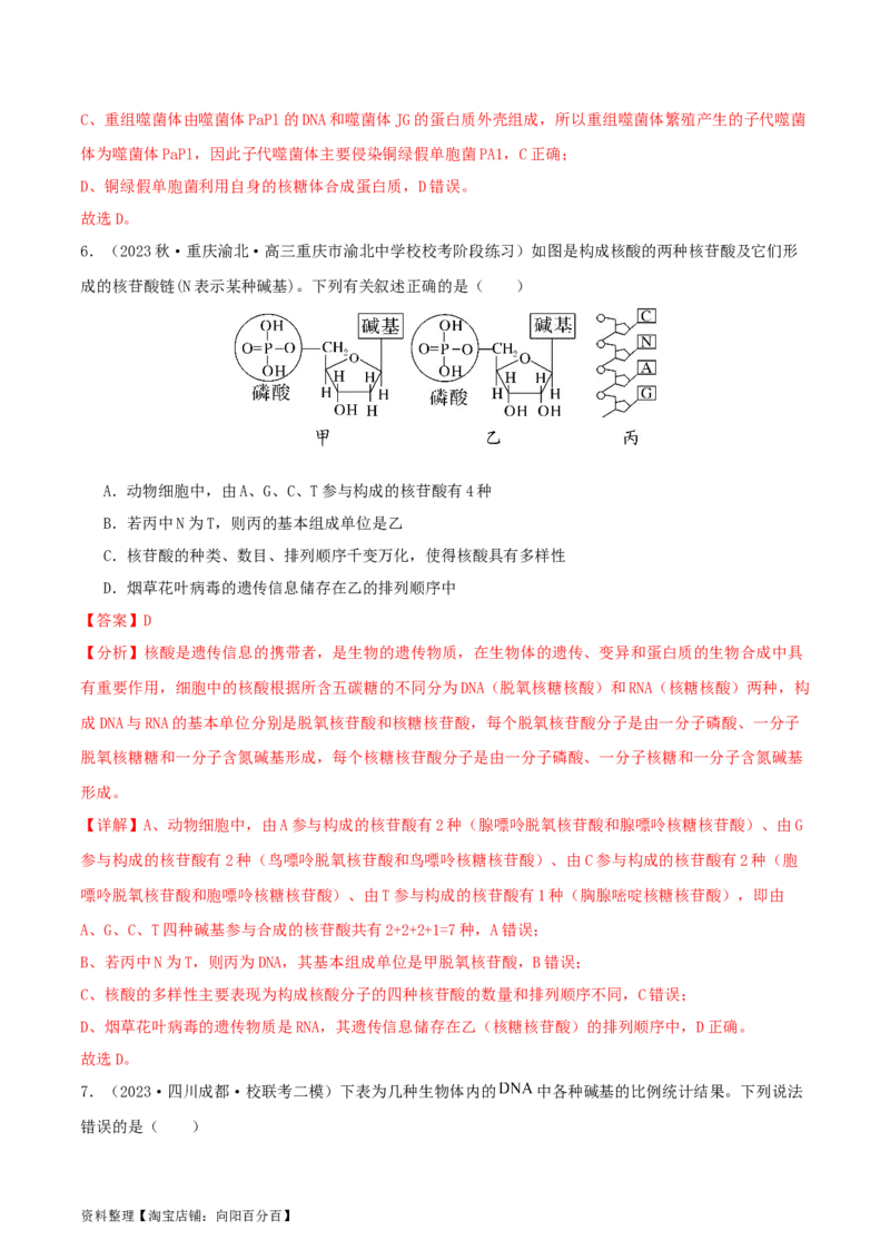 专题综合练05遗传的分子基础(解析版)_新高考复习资料_2024年新高考复习资料_一轮复习资料_完备战2024年高考生物一轮复习考点帮（新高考）_必修2