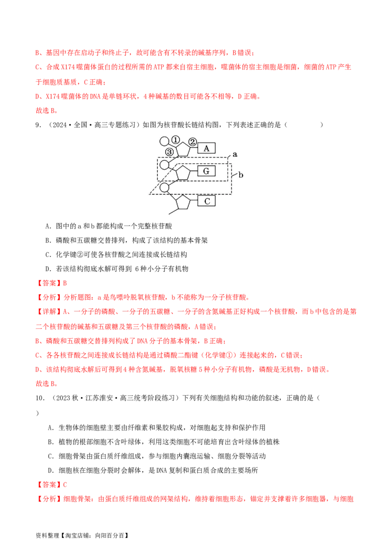 专题综合练05遗传的分子基础(解析版)_新高考复习资料_2024年新高考复习资料_一轮复习资料_完备战2024年高考生物一轮复习考点帮（新高考）_必修2