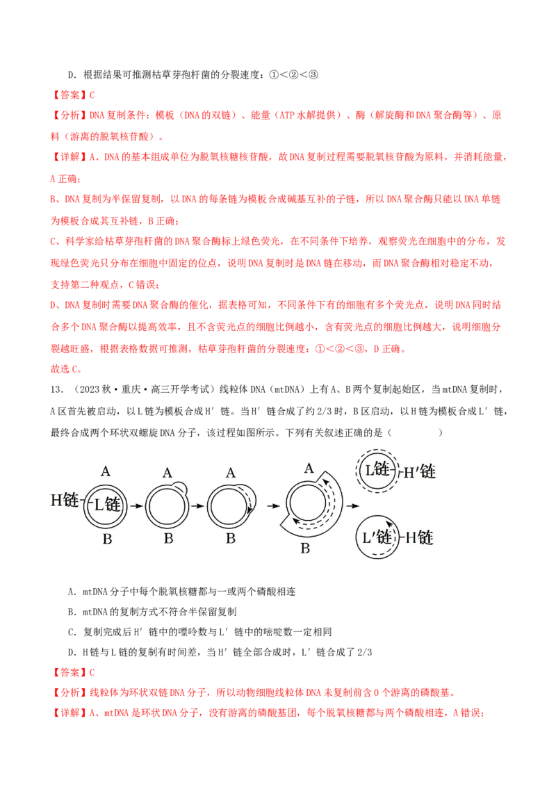 专题综合练05遗传的分子基础(解析版)_新高考复习资料_2024年新高考复习资料_一轮复习资料_完备战2024年高考生物一轮复习考点帮（新高考）_必修2
