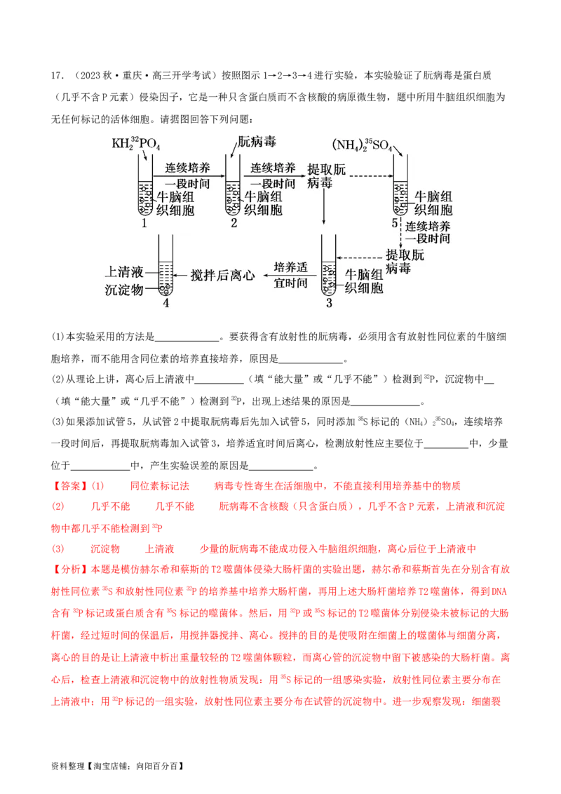 专题综合练05遗传的分子基础(解析版)_新高考复习资料_2024年新高考复习资料_一轮复习资料_完备战2024年高考生物一轮复习考点帮（新高考）_必修2