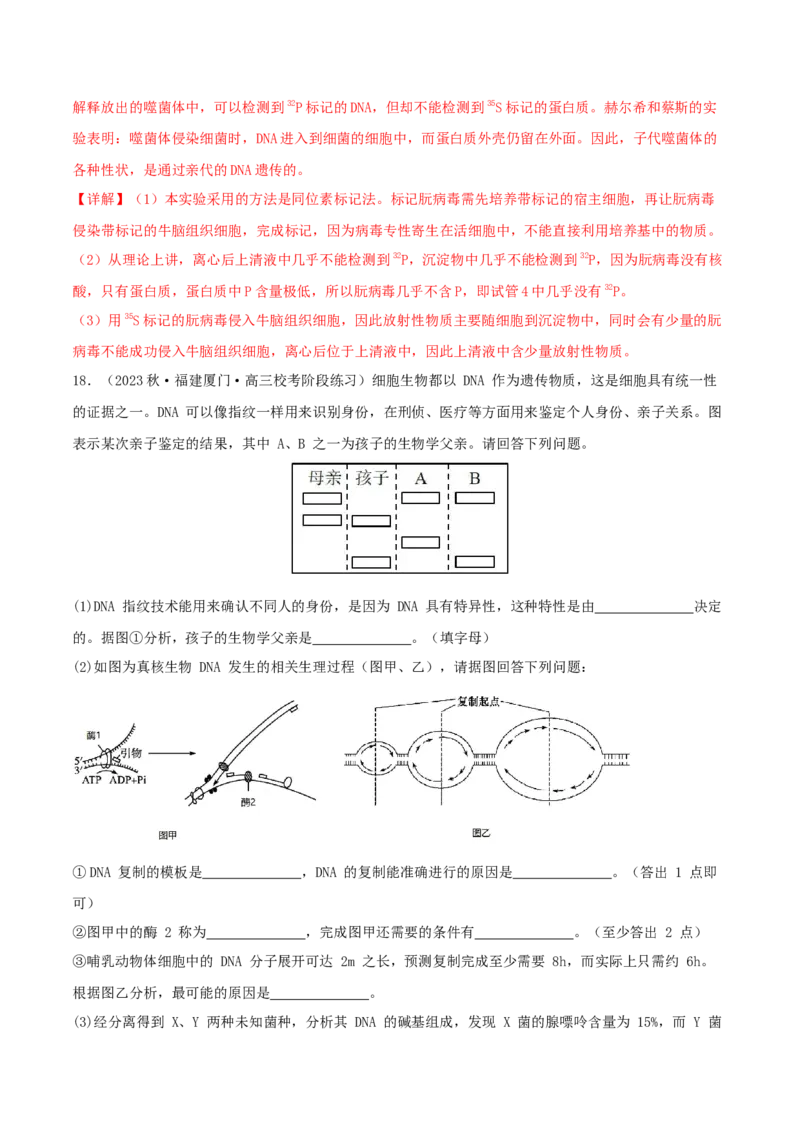专题综合练05遗传的分子基础(解析版)_新高考复习资料_2024年新高考复习资料_一轮复习资料_完备战2024年高考生物一轮复习考点帮（新高考）_必修2
