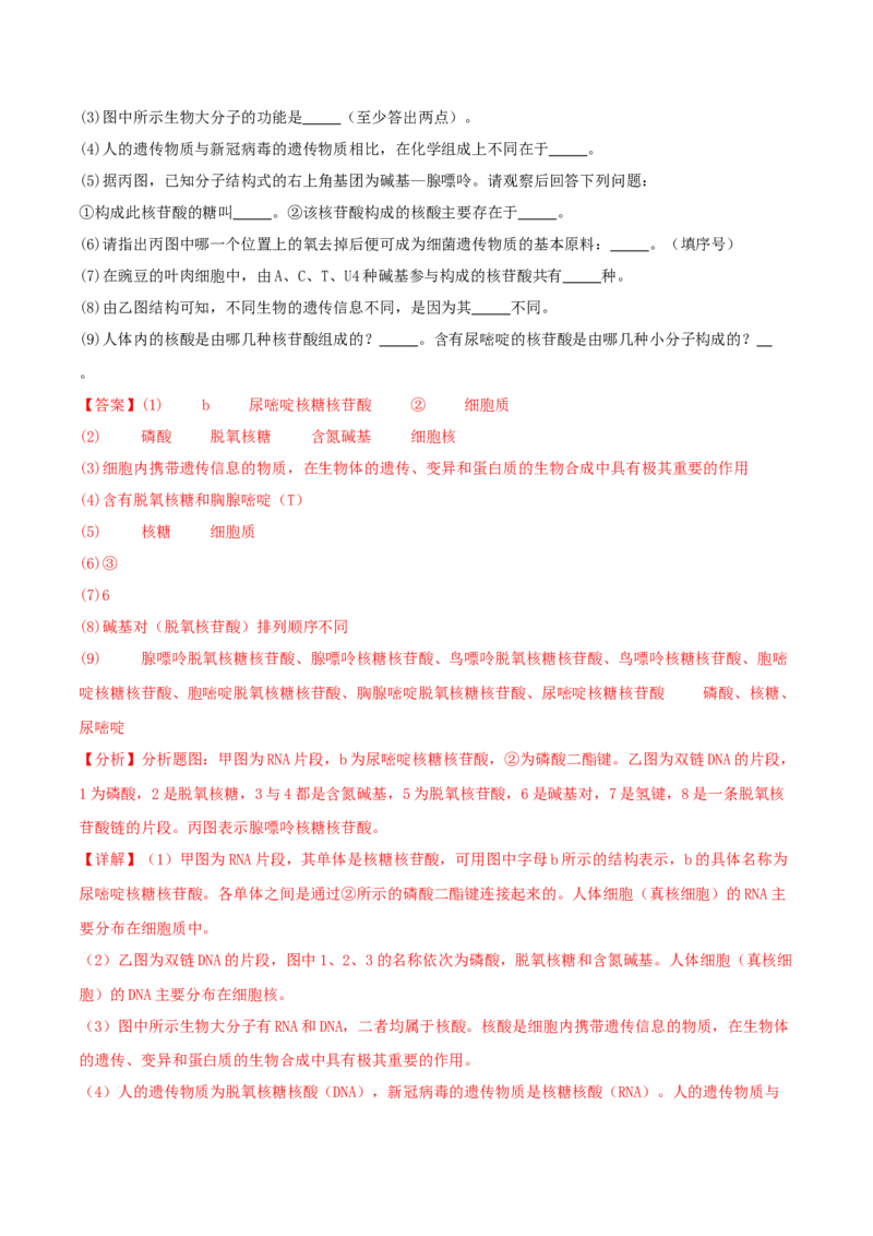 专题综合练05遗传的分子基础(解析版)_新高考复习资料_2024年新高考复习资料_一轮复习资料_完备战2024年高考生物一轮复习考点帮（新高考）_必修2