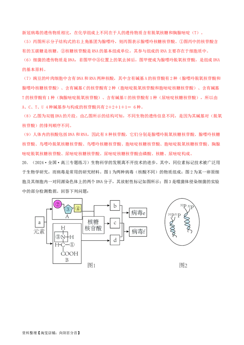 专题综合练05遗传的分子基础(解析版)_新高考复习资料_2024年新高考复习资料_一轮复习资料_完备战2024年高考生物一轮复习考点帮（新高考）_必修2