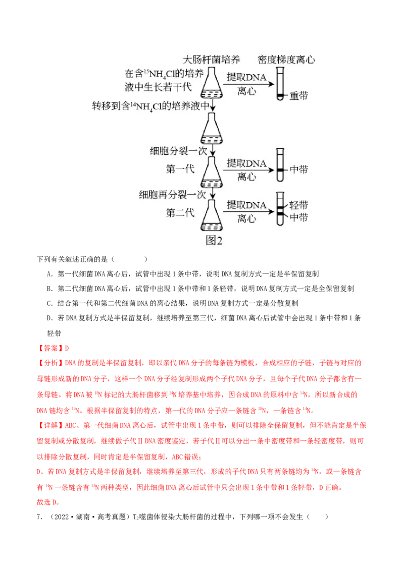 专题综合练05遗传的分子基础(解析版)_新高考复习资料_2024年新高考复习资料_一轮复习资料_完备战2024年高考生物一轮复习考点帮（新高考）_必修2