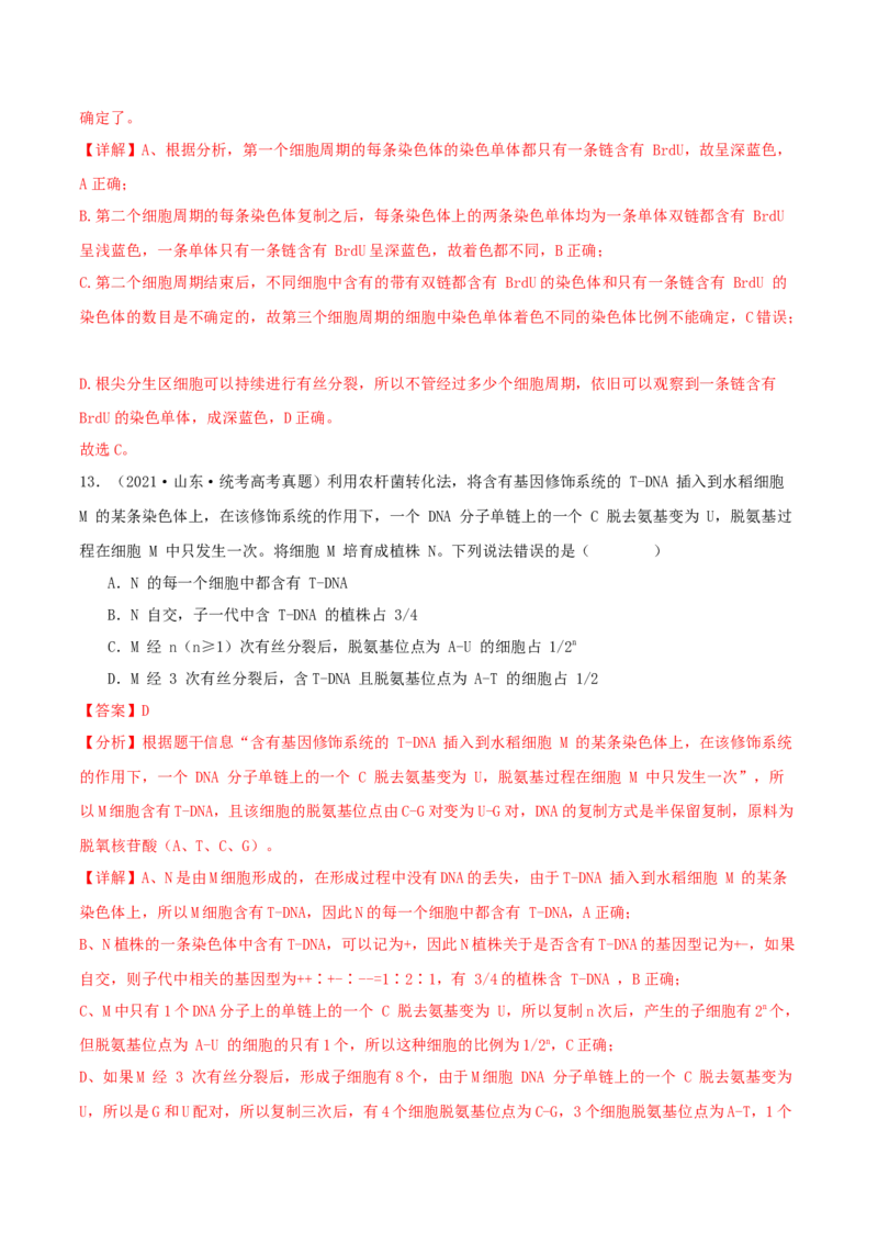 专题综合练05遗传的分子基础(解析版)_新高考复习资料_2024年新高考复习资料_一轮复习资料_完备战2024年高考生物一轮复习考点帮（新高考）_必修2