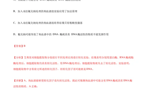 专题综合练05遗传的分子基础(解析版)_新高考复习资料_2024年新高考复习资料_一轮复习资料_完备战2024年高考生物一轮复习考点帮（新高考）_必修2