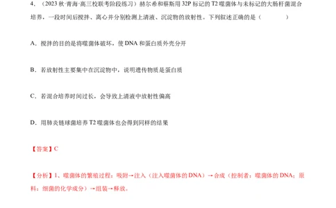专题综合练05遗传的分子基础(解析版)_新高考复习资料_2024年新高考复习资料_一轮复习资料_完备战2024年高考生物一轮复习考点帮（新高考）_必修2