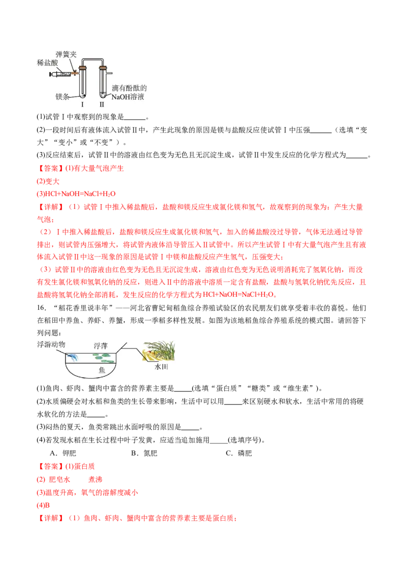 化学（河北卷）（全解全析）_初中全科电子版试卷练习试题_化学_2024中考模拟题化学(1)_三模（36套）_化学（河北卷）