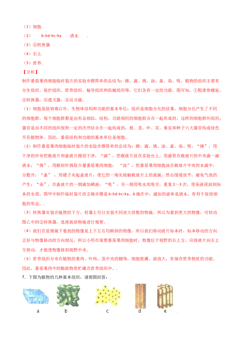 必考点12植物体的结构层次-（人教版）（解析版）_初中全科电子版试卷练习试题_生物_生物人教版7上练习&mdash;24新版已更新_人教生物7年级上专项练习28份
