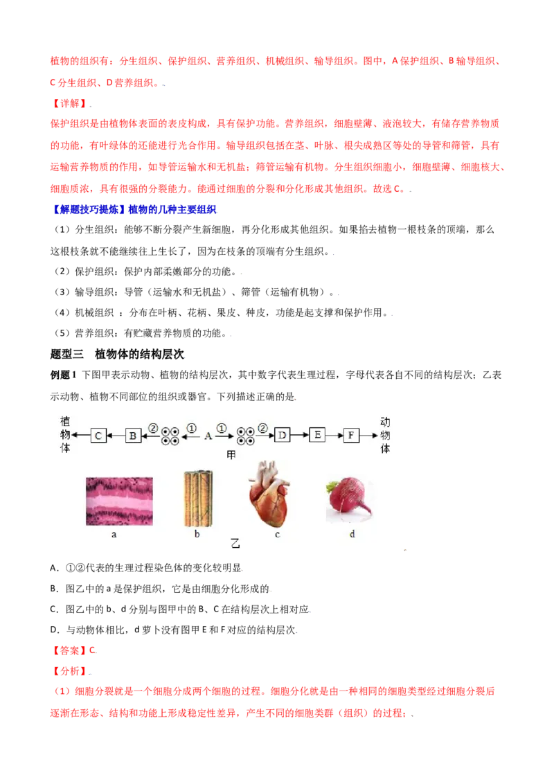 必考点12植物体的结构层次-（人教版）（解析版）_初中全科电子版试卷练习试题_生物_生物人教版7上练习&mdash;24新版已更新_人教生物7年级上专项练习28份