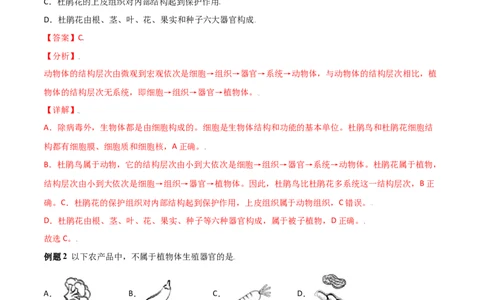 必考点12植物体的结构层次-（人教版）（解析版）_初中全科电子版试卷练习试题_生物_生物人教版7上练习&mdash;24新版已更新_人教生物7年级上专项练习28份