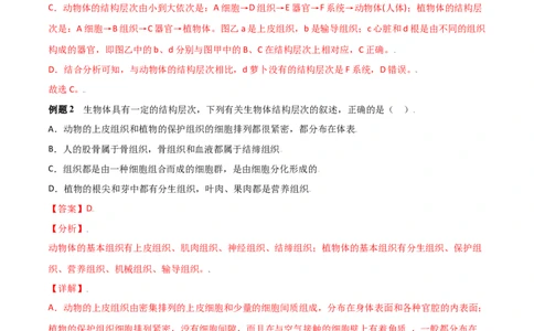 必考点12植物体的结构层次-（人教版）（解析版）_初中全科电子版试卷练习试题_生物_生物人教版7上练习&mdash;24新版已更新_人教生物7年级上专项练习28份