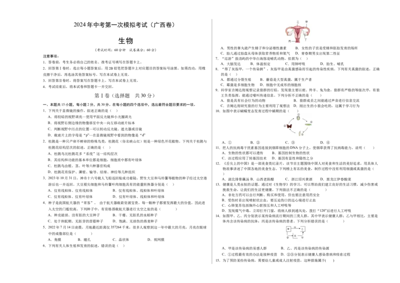 生物（广西卷）（考试版A3）_初中全科电子版试卷练习试题_生物_2024中考模拟题生物(1)_一模_生物（广西卷）-2024年中考第一次模拟考试