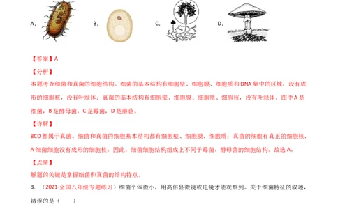 第05单元第04章细菌和真菌、05章病毒单元测试（A卷&middot;夯实基础）（解析版）_初中全科电子版试卷练习试题_生物_生物8上练习_人教生物8年级上单元试卷48份