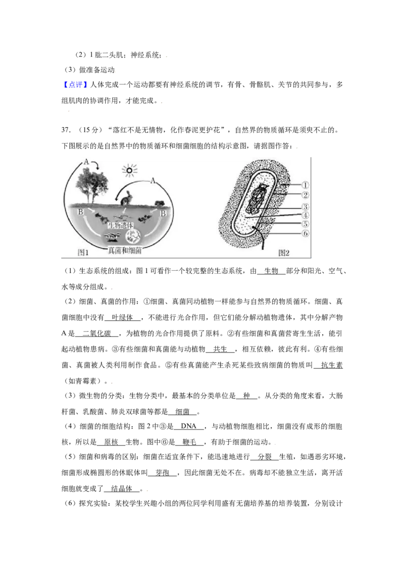 期末冲刺卷03-（人教版）（解析版）_初中全科电子版试卷练习试题_生物_生物8上练习_人教生物8年级上期末试卷10份
