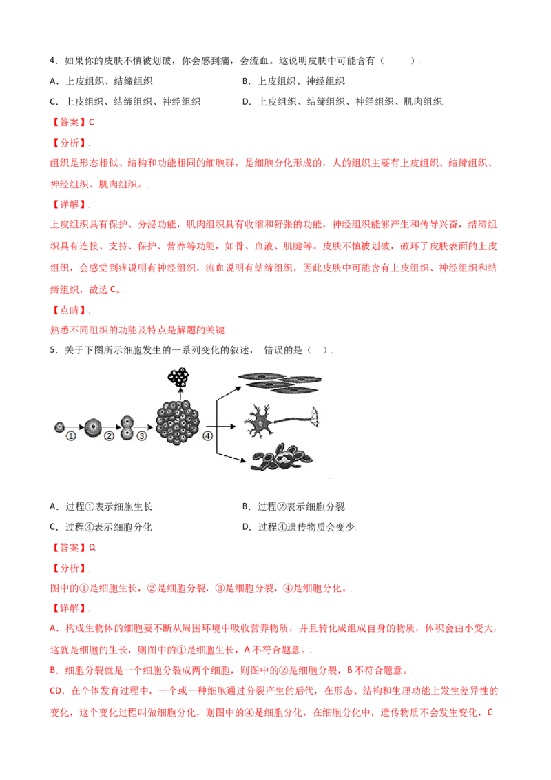 必考点11动物体的结构层次-（人教版）（解析版）_初中全科电子版试卷练习试题_生物_生物人教版7上练习&mdash;24新版已更新_人教生物7年级上专项练习28份
