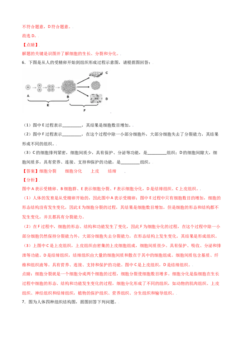 必考点11动物体的结构层次-（人教版）（解析版）_初中全科电子版试卷练习试题_生物_生物人教版7上练习&mdash;24新版已更新_人教生物7年级上专项练习28份